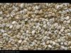 Hulled Black and White Sesame Seeds
