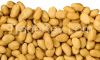Selling PEANUTS (Blanched, Raw, Split)