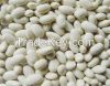 White Kidney Beans