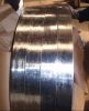 Hot Dip Galvanized Strip in Coil