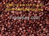 robusta coffee grade 1 screen 16