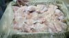 Chicken Meat of High Quality