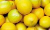 Fresh Lemon Citrus Fruit