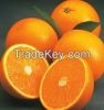 FRESH VALENCIA ORANGES