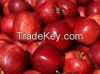 FRESH RED DELICIOUS APPLES