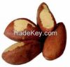 Brazil nuts for sale