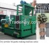 How to choice dry powder briquette machine?