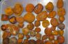 OX GALLSTONS, CATTLES GALLSTONE, COW GALLSTONES