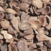 Palm Kernel Shells