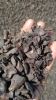 Palm Kernel Shells