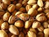 Grade A  Pistachios Nuts for Sale