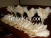wholesale bulk ostrich feather For Sale