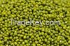 Green Mung Beans