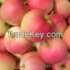 fresh red delicious apple fruit/fresh apple fruit