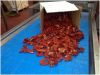 30 Tons of sun dried tomatoes with best prices