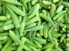 Buy green fresh Frozen Okra