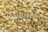 WE SUPPLY AND EXPORT SESAME SEEDS TO ANY COUNTRY INTHE WORLD