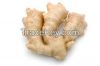 WE SELL AND EXPORT GINGER