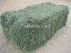 Alfalfa Hay, Bermuda Grass, Klein Grass, Oat Hay, Wheat Hay, Bermuda Straw