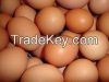 High Quality White / Brown Chicken Table Eggs