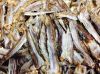 Dried Blue Whiting