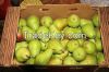 Fresh Pears