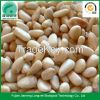 Chinese raw shelled pine nuts prices