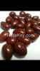 Sell Chocolate Coated Sunflowerv Kernels candy