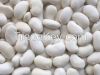 White kidney beans exporter