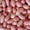 Raw Peanuts in Shell/Groundnuts in Shell for sell