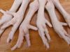 Grade A Processed Frozen Chicken Feet/Paws for sale.