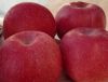 Fresh FUJI Apple with Competitive Price