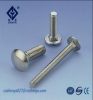 china fastener manufacturer, high quality compretitive price carriage