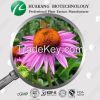 High Qulity Herb Extract Echinacea Purpurea P.E. Powder