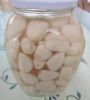 Pickled Garlic Clove in Brine