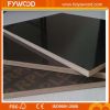 Sell black film faced plywood for construction