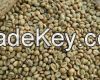 Robusta coffee beans available for sale