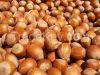 Hazelnuts