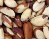 BRAZIL NUTS FOR SALE