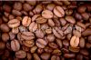 ARABICA COFFEE BEANS FOR SALE