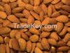 ALMOND NUTS FOR SALE