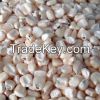 White Dry Maize available