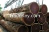 CameroonTeak Logs, GhanaTeak Logs, Burma Teak Logs, Padauk Logs, Acacia Wood Log etc Available for sale