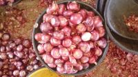 Indian Fresh Red Onion