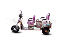 Tricycle, trike, electric tricycle, E-roclshow, electric vehicles