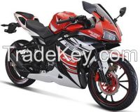 XGJ250-28 Racing Motorcycle, Cheap Motorcycle, Two Wheeler Motorcycle, Hot Sell Motorbike