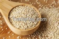Organic and Conventional WHITE QUINOA Grain from Peruvian Andes
