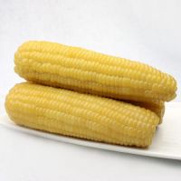 Waxy corn