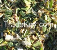 Sell Corn Silage_Whatsapp +84962630151