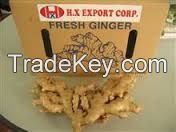 Sell Fresh Ginger NEW SEASON _Whatsapp +84962630151